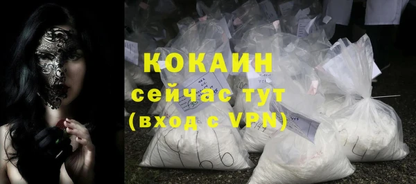 прущие грибы Абинск