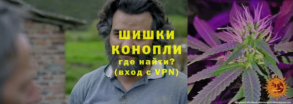 бошки Алзамай
