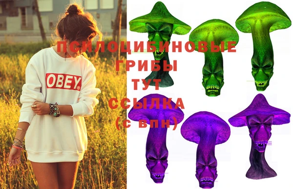 хмурый Алексеевка