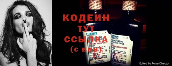 прущие грибы Абинск
