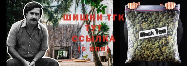 бошки Алексин