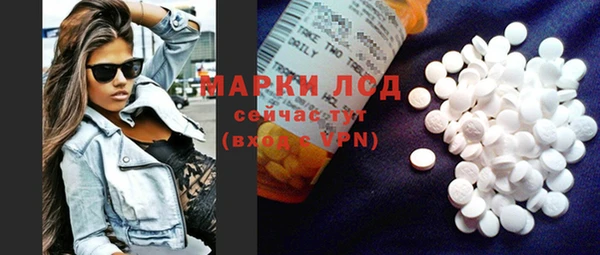 прущие грибы Абинск