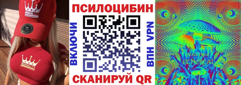 Псилоцибиновые грибы Psilocybe  Советский 