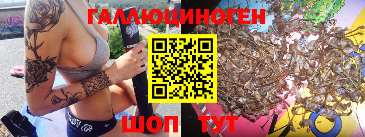 Галлюциногенные грибы MAGIC MUSHROOMS Советский