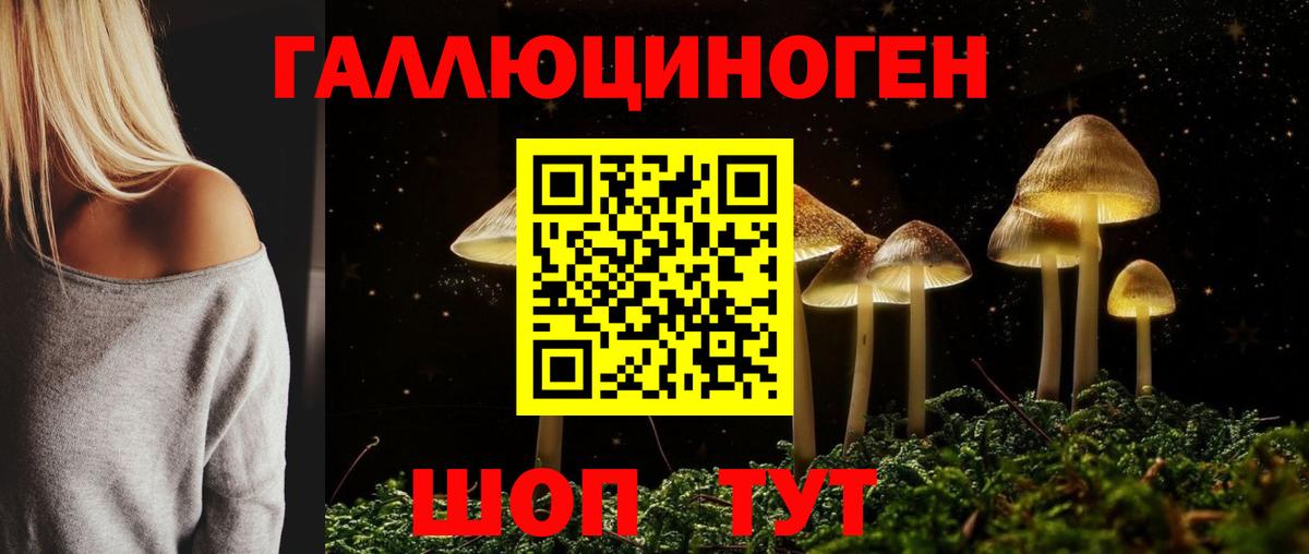 Галлюциногенные грибы Cubensis  Вход с VPN  Советский 